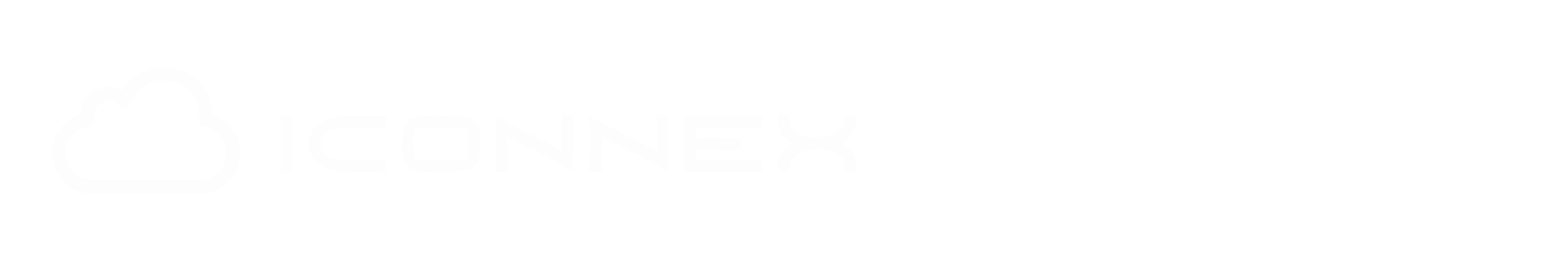 iConnex